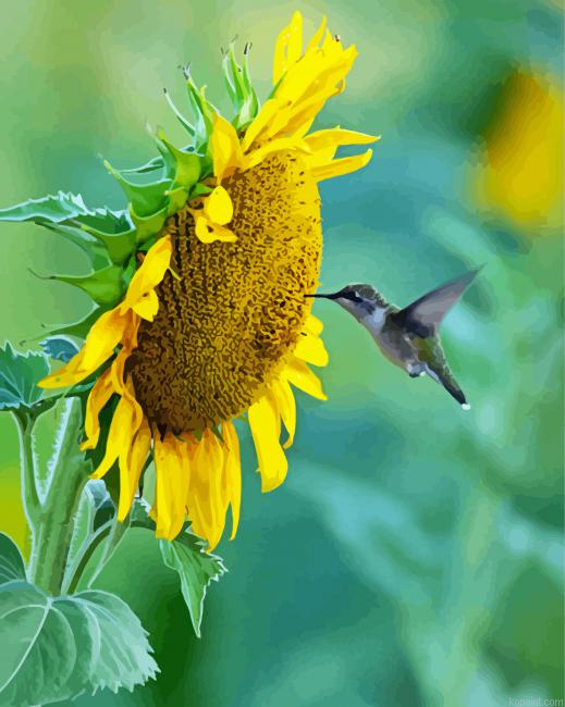 Sunflower And Bird Painting By Numberss.png