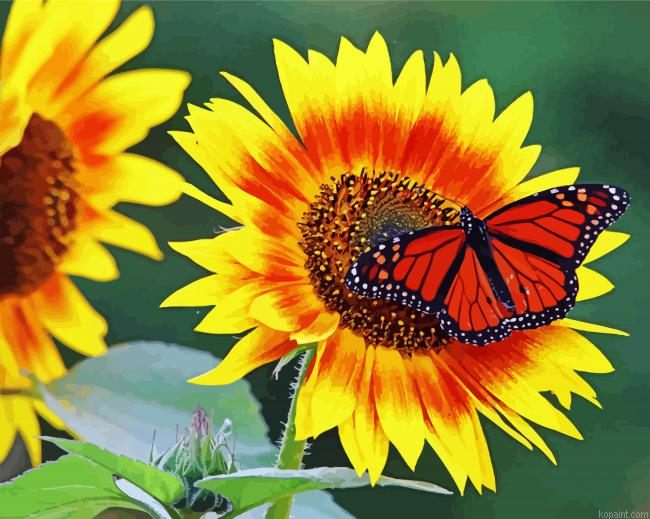Sunflower And Cute Butterfly Painting By Numberss.png