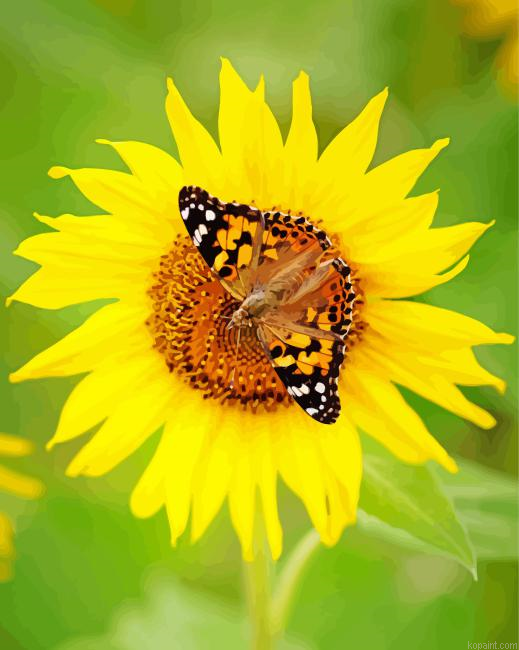 Sunflower Butterfly Painting By Numberss.png