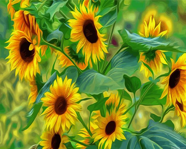Sunflowers Art Painting By Numberss.png