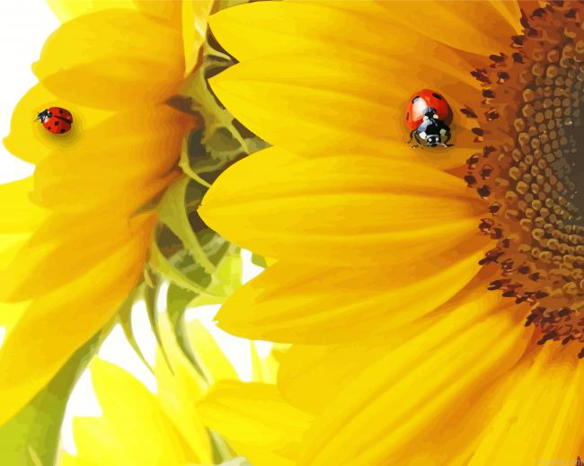 Sunflowers Ladybugs Painting By Numberss.png