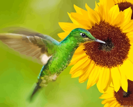 Sunflowers With Green Hummingbird Painting By Numberss.png