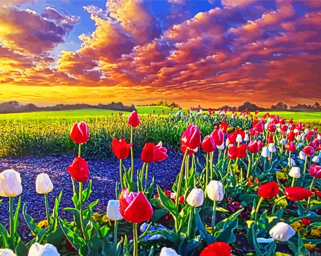 Sunrise Spring Flowers Tulips Field Painting By Numberss.png