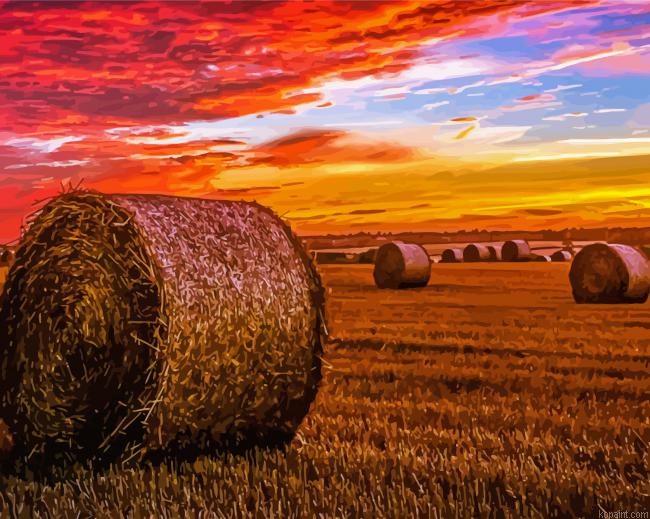 Sunset Harvest View Painting By Numberss.png