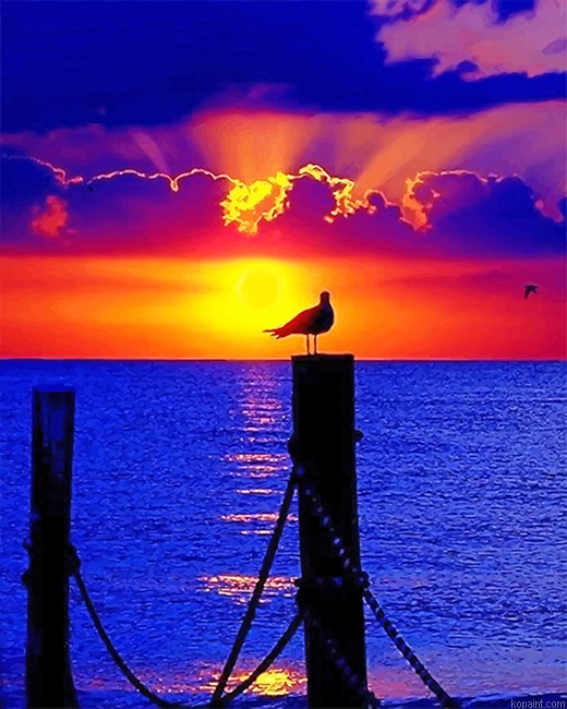 Sunset Pigeon Silhouette New Painting By Numberss.png