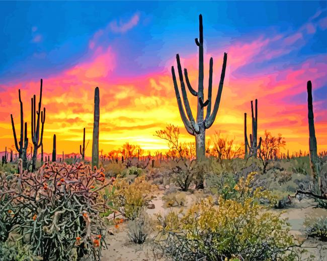Sunset Saguaro National Park Tucson Painting By Numberss.png