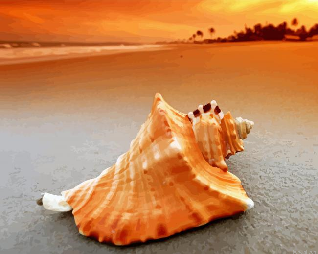 Sunset Seashells On Beach Painting By Numberss.png