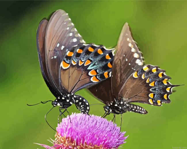 Swallowtail Butterflies Painting By Numberss.png