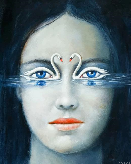 Swans Eyes Paint By Numbers