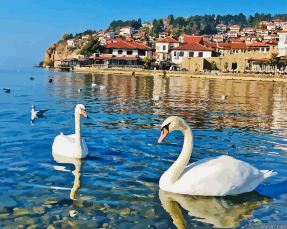 Swans In Lake Ohrid Painting By Numberss.png
