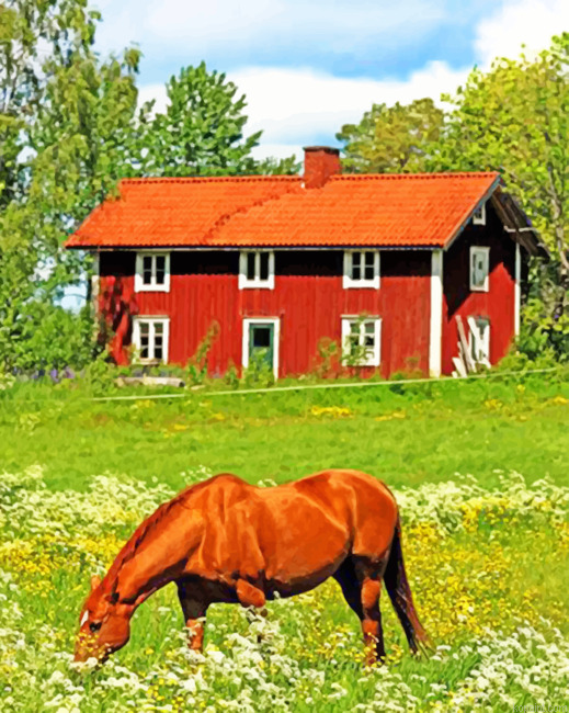 Sweden Farm Painting By Numberss.png