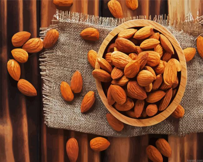 Sweet Almonds In Bowl Paint By numbers