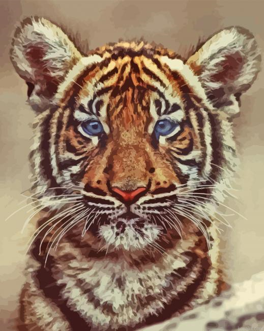 Sweet Baby Face Tiger Painting By Numberss.png