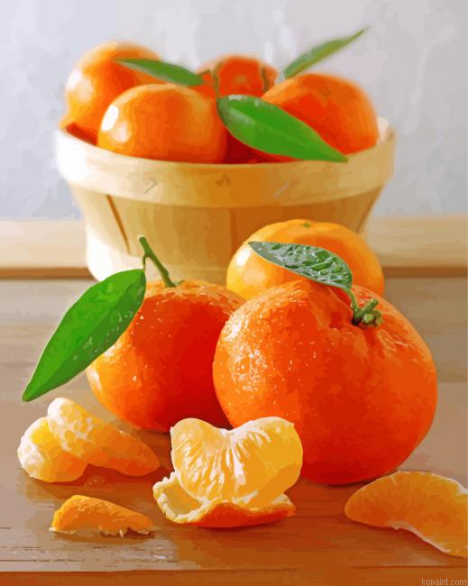 Sweet Mandarine Fruit Painting By Numberss.png