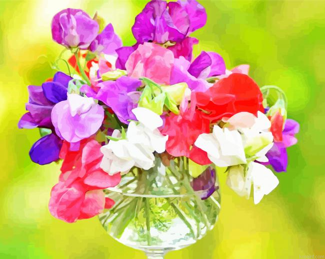 Sweetpea Colorful Flowers Painting By Numberss.png