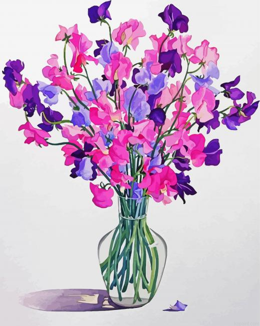 Sweetpea Flowers Plants Painting By Numberss.png