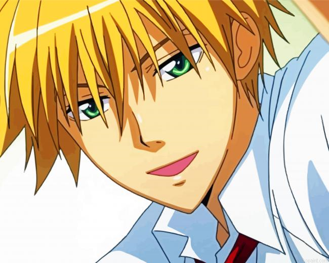 Takumi Usui Maid Sama Paint By Numbers