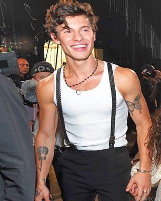 Tattoed Shawn Mendes New Painting By Numberss.png