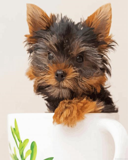 Teacup Yorkie Painting By Numberss.png