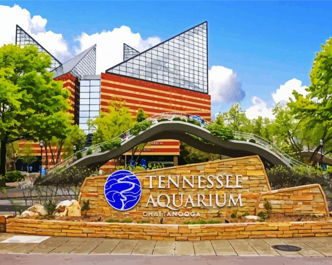 Tennessee Aquarium Chattanooga Painting By Numberss.png