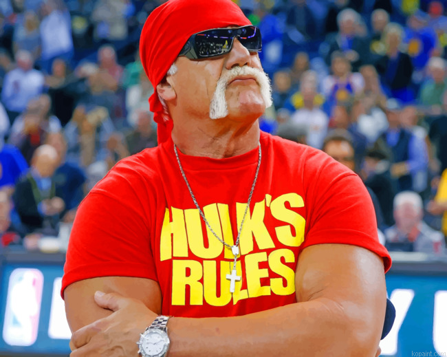 Terry Eugene Bollea Hulk Painting By Numberss.png