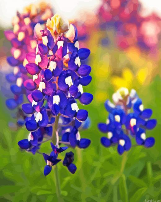 Texas Bluebonnets Painting By Numberss.png