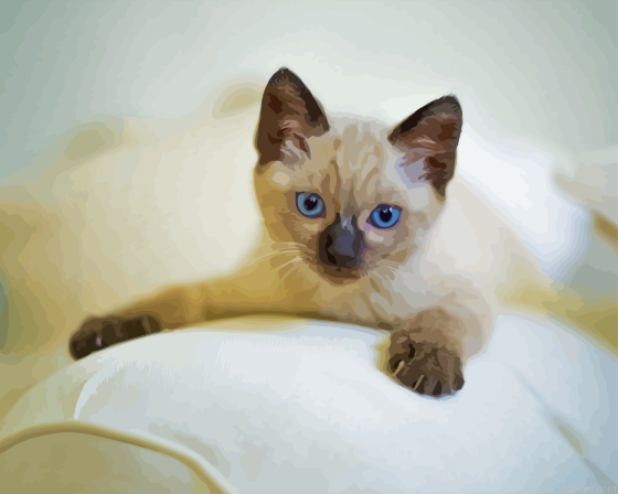 Thai Kitten Painting By Numberss.png