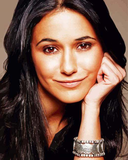 The Actress Emmanuelle Chriqui Paint By Numbers