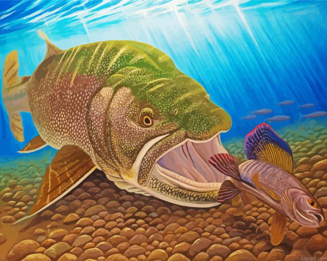 The Arctic Grayling Fish Painting By Numberss.png