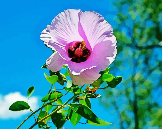 The Australian Flora Paint By Numbers