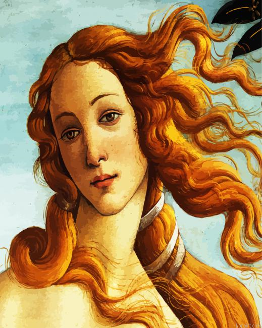 The Birth Of Venus Botticelli Painting By Numberss.png