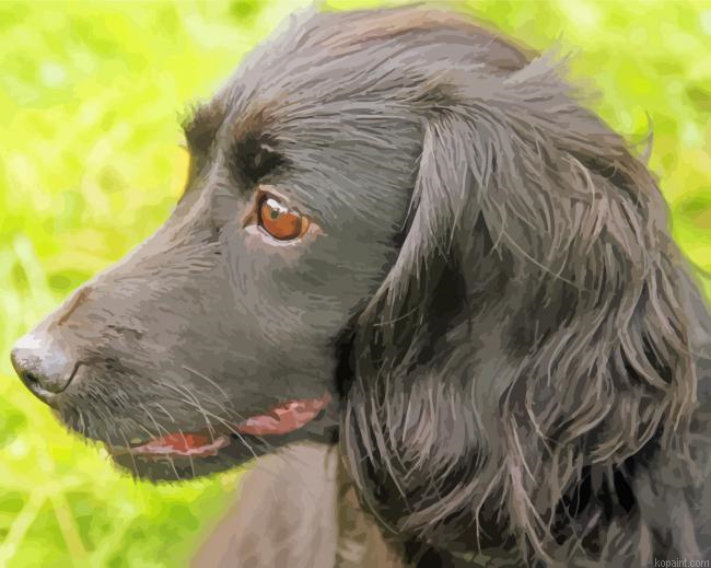The Black Cocker Spaniel Dog Painting By Numberss.png