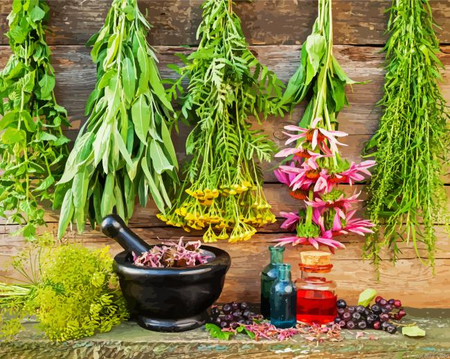 The Botanicals Painting By Numberss.png