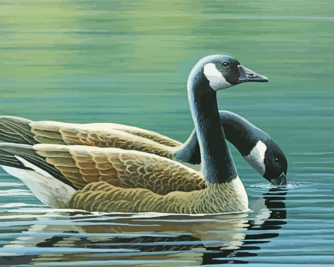 The Canada Geese Birds Painting By Numberss.png