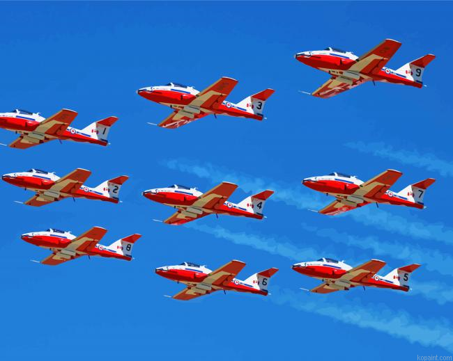 The Canadian Snowbirds Painting By Numberss.png