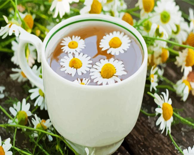 The Chamomile Tea Cup Paint By Numbers.png