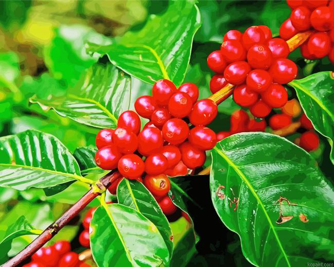 The Coffee Tree Paint By Numbers