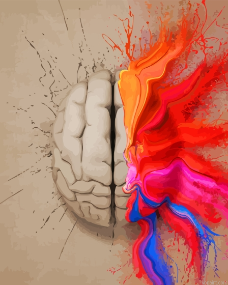 The Creative Brain Art Painting By Numberss.png