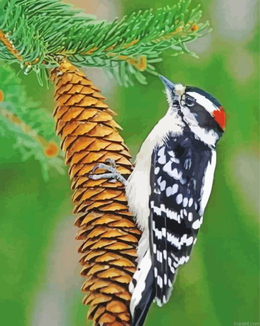 The Downy Woodpecker Painting By Numberss.png