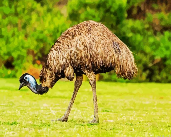 The Emu Bird Paint By Numbers.png