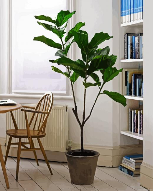 The Fiddle Leaf Fig Plant Painting By Numberss.png