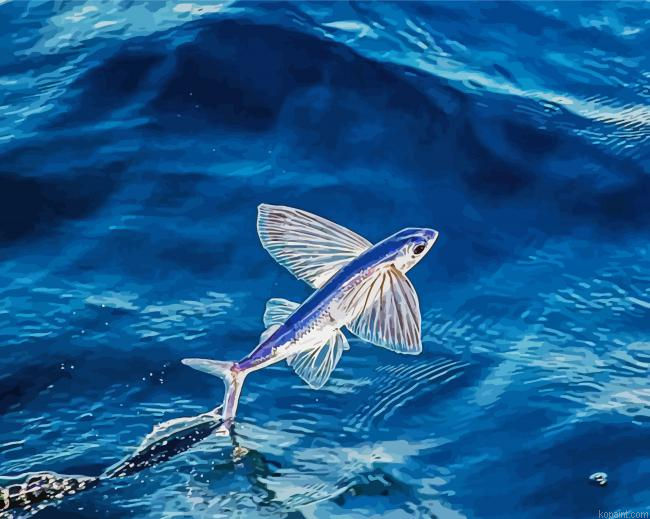 The Flying Fish Paint By Numbers
