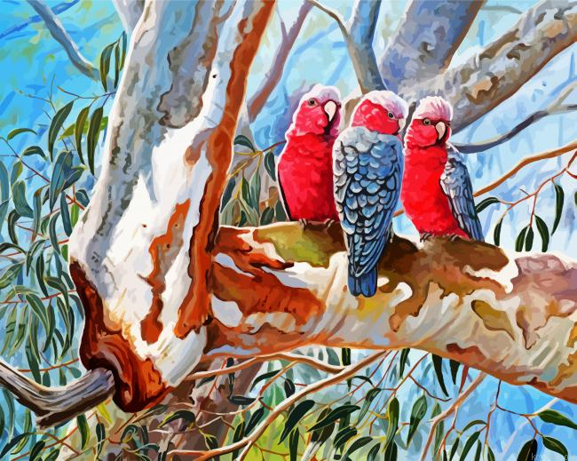 The Galah Cockatoo Birds Painting By Numberss.png