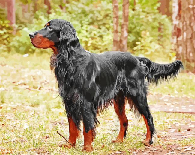 The Gordon Setter Dog Painting By Numberss.png