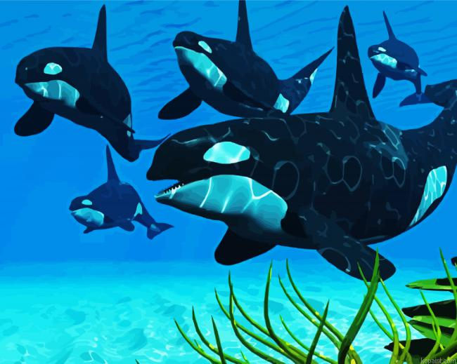 The Killer Whale Painting By Numberss.png