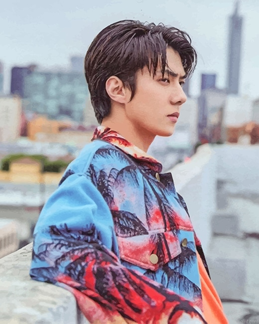 The Korean Idol Oh Sehun New Painting By Numberss.png