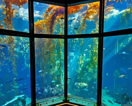 The Monterey Bay Aquarium Painting By Numberss.png