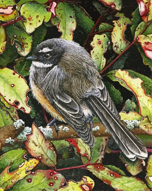 The New Zealand Fantail Bird Painting By Numberss.png