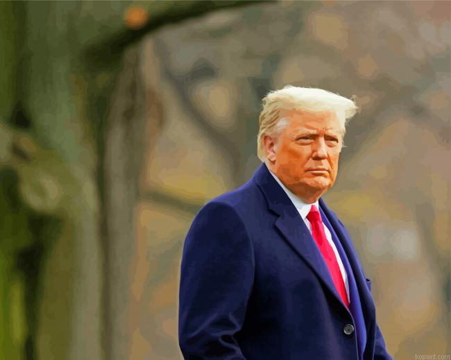 The President Trump Painting By Numberss.png