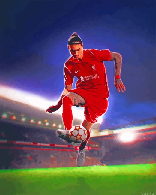 The Professional Player Darwin Nunez Painting By Numberss.png